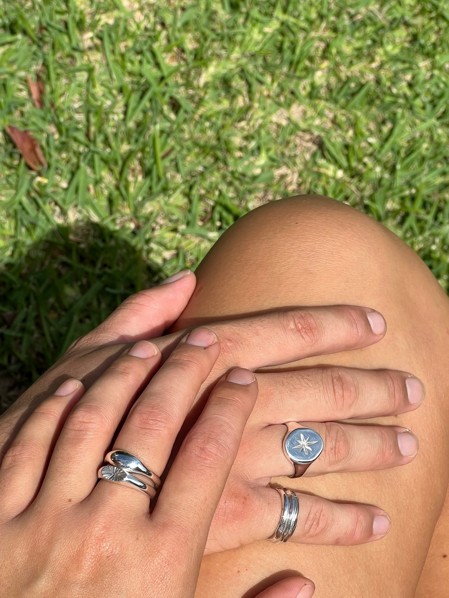 STELLAR signet | T